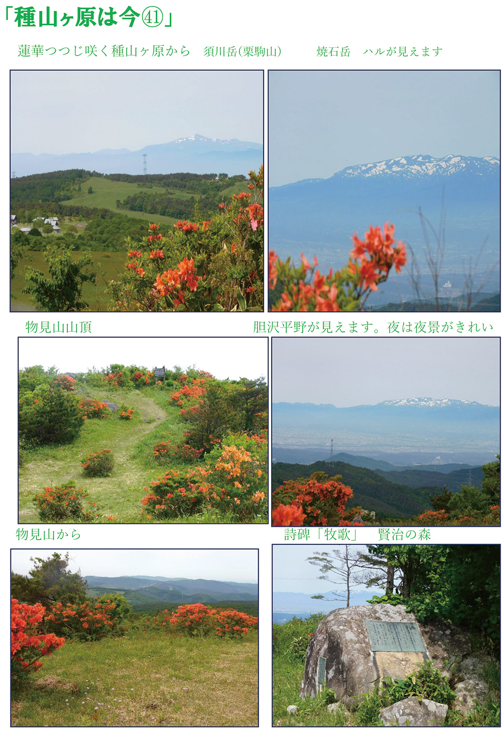 種山ヶ原は今41